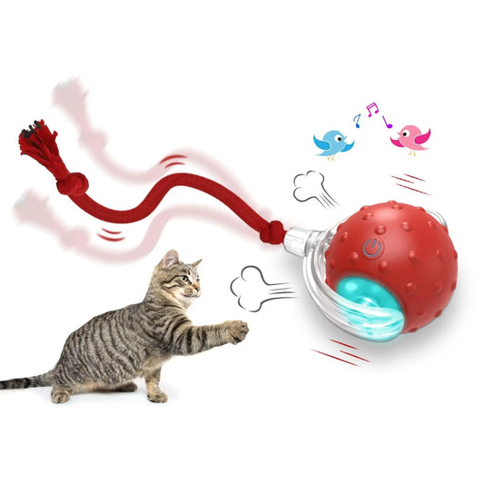 Whisker Whirl Interactive Cat Ball