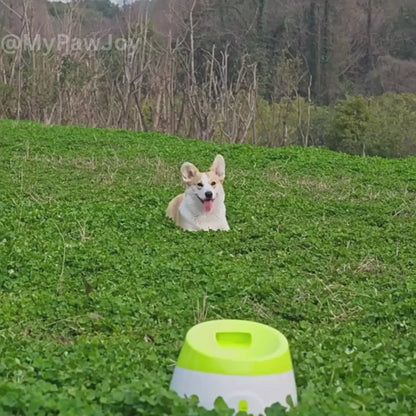 PawJoy's Fetch-O-Matic Buddy